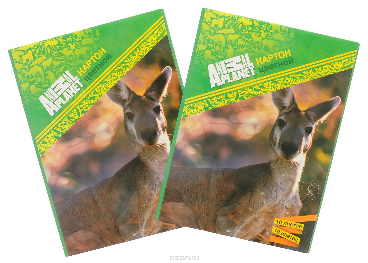Action! Набор цветного мелованного картона Animal Planet 2 шт