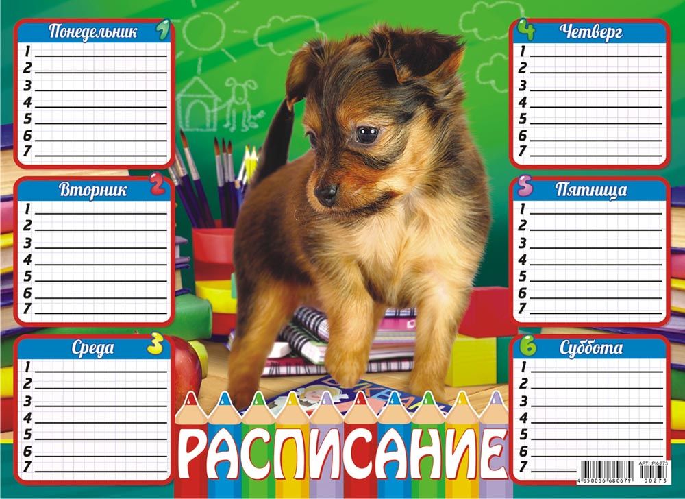 Расписание уроков ЛиС А4 (картон) Собака