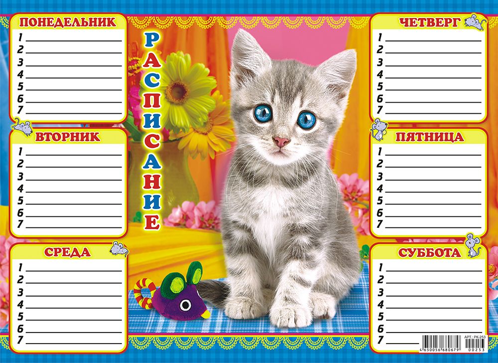 Расписание уроков ЛиС А4 (картон) Котёнок